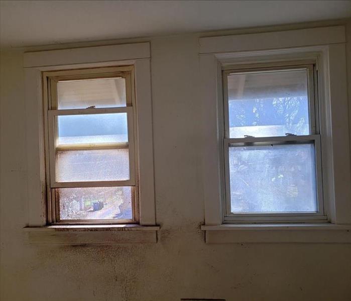 residential windows with mold and dirt