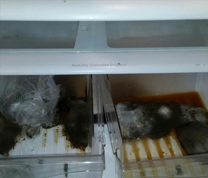 residential refrigerator with mold growth and grime. 