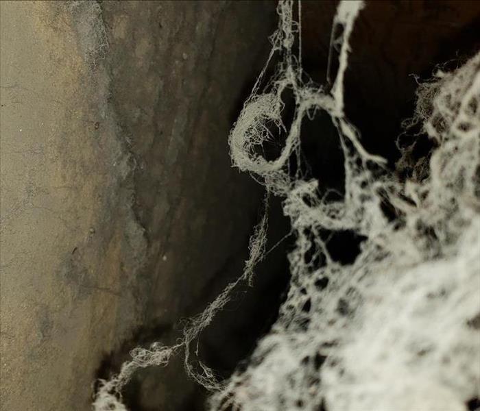 Dust and debris in an air duct